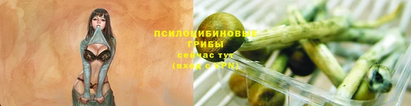 эйфоретик Корсаков