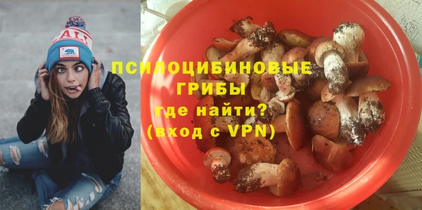 эйфоретик Корсаков