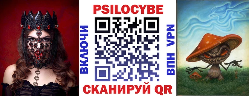 Псилоцибиновые грибы Psilocybine cubensis  Купить  Кирово-Чепецк 